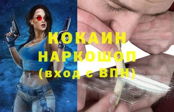 ешки Алексин