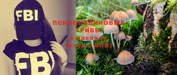 круглые Алзамай