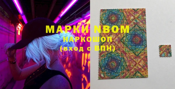 ешки Алексин