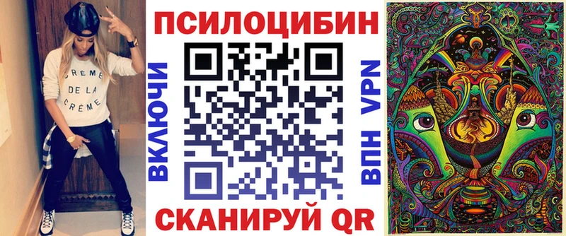 Псилоцибиновые грибы Cubensis Мензелинск